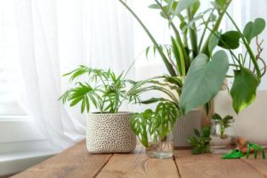 Indoor air quality in Metuchen, NJ