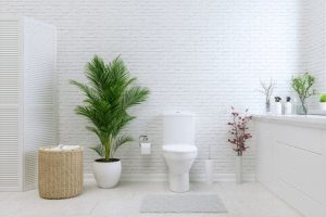Toilet in Metuchen, NJ