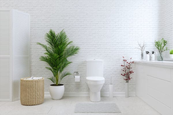Toilet safe cat clearance litter